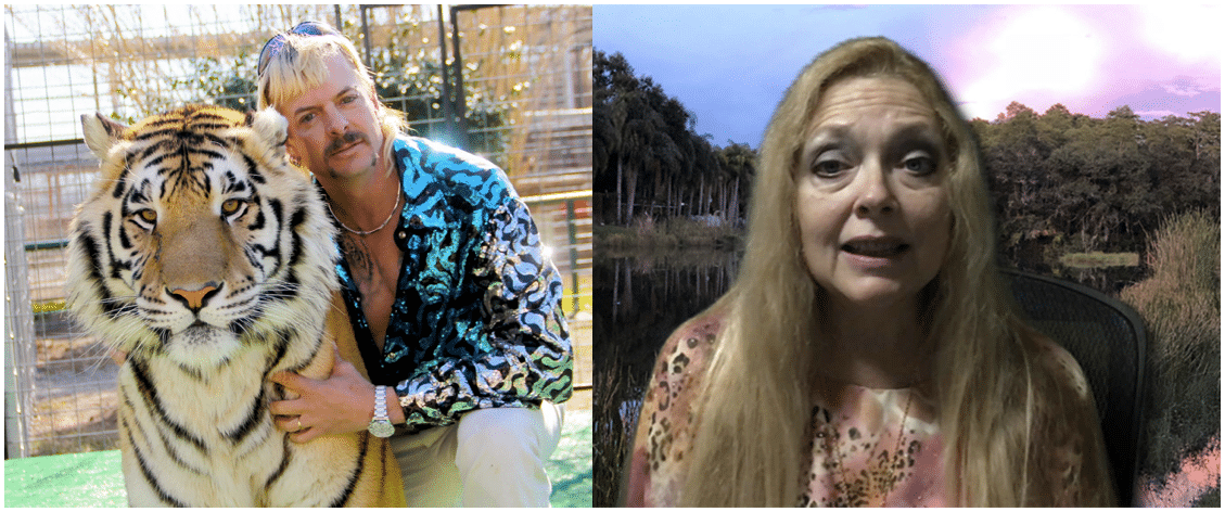 Funny Tiger King Recap Review 2025 - Netflix Joe Exotic & Carole Baskin