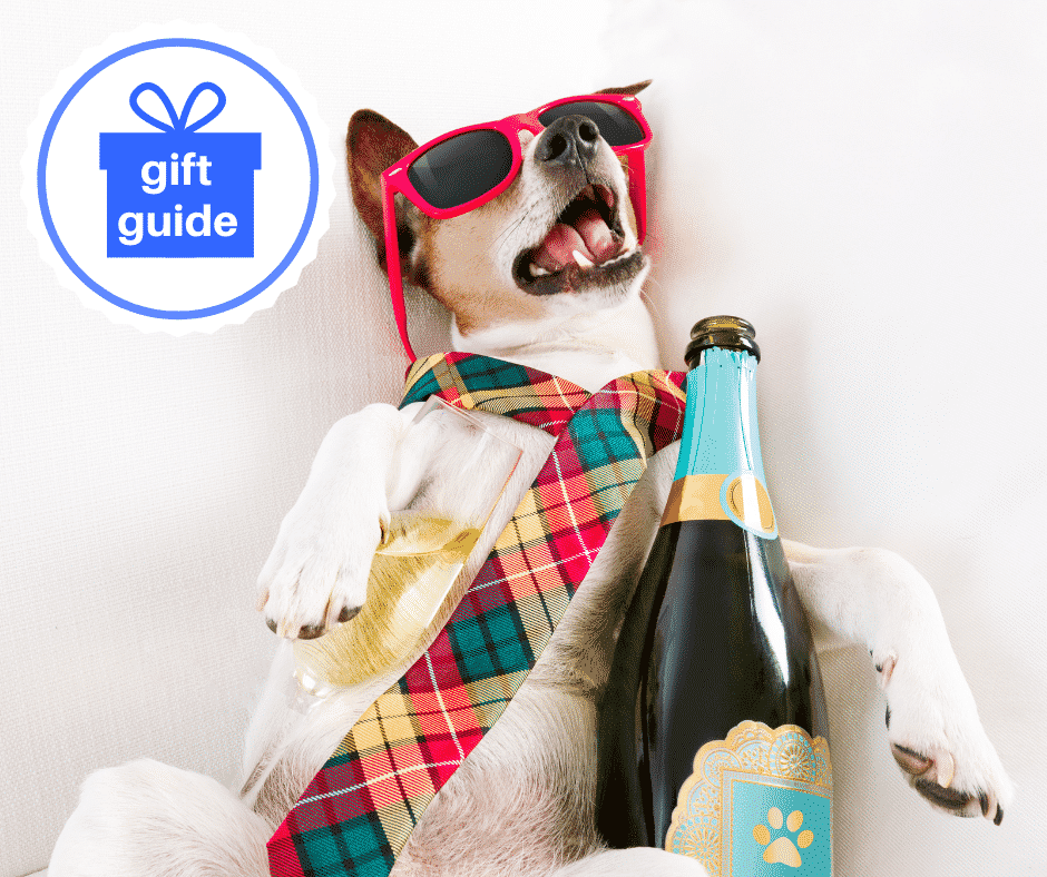 2025 Gifts for Wine Lovers - Funny Inexpensive Wine Gifts for Wine Snob Christmas