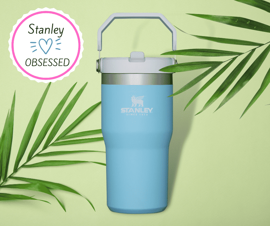 STANLEY PROMO CODE 2025