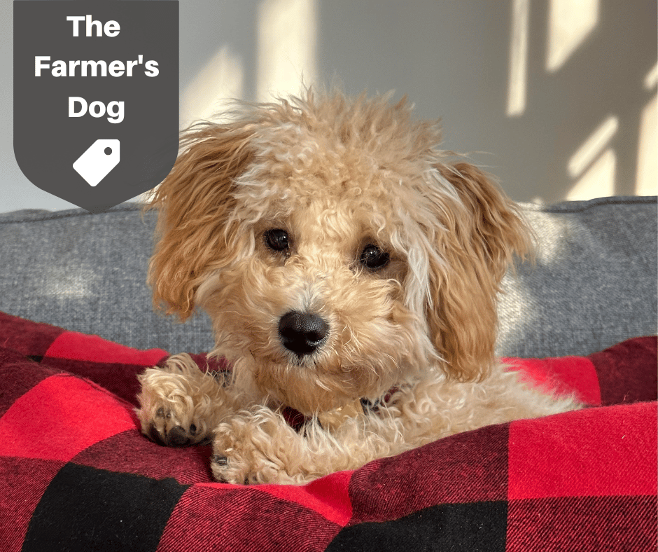 The Farmer's Dog Promo Codes April 2025