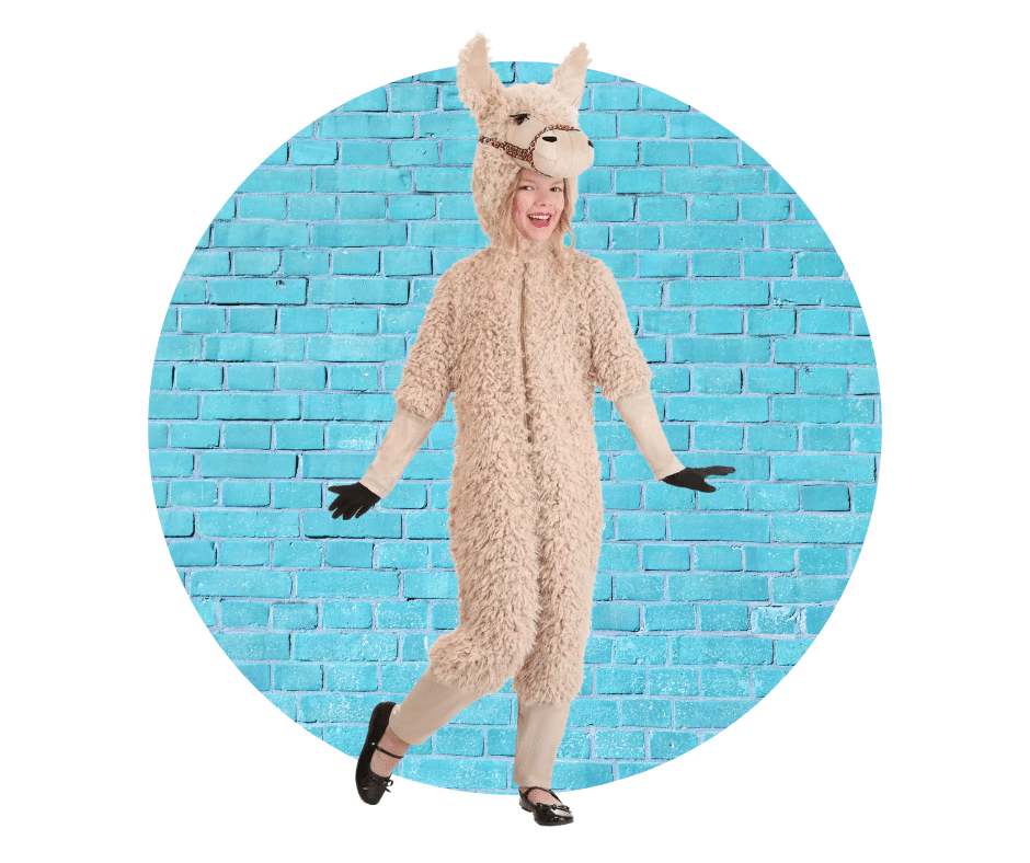Fluffy Llama