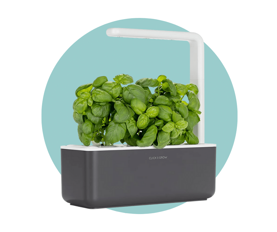 Click and Grow Garden