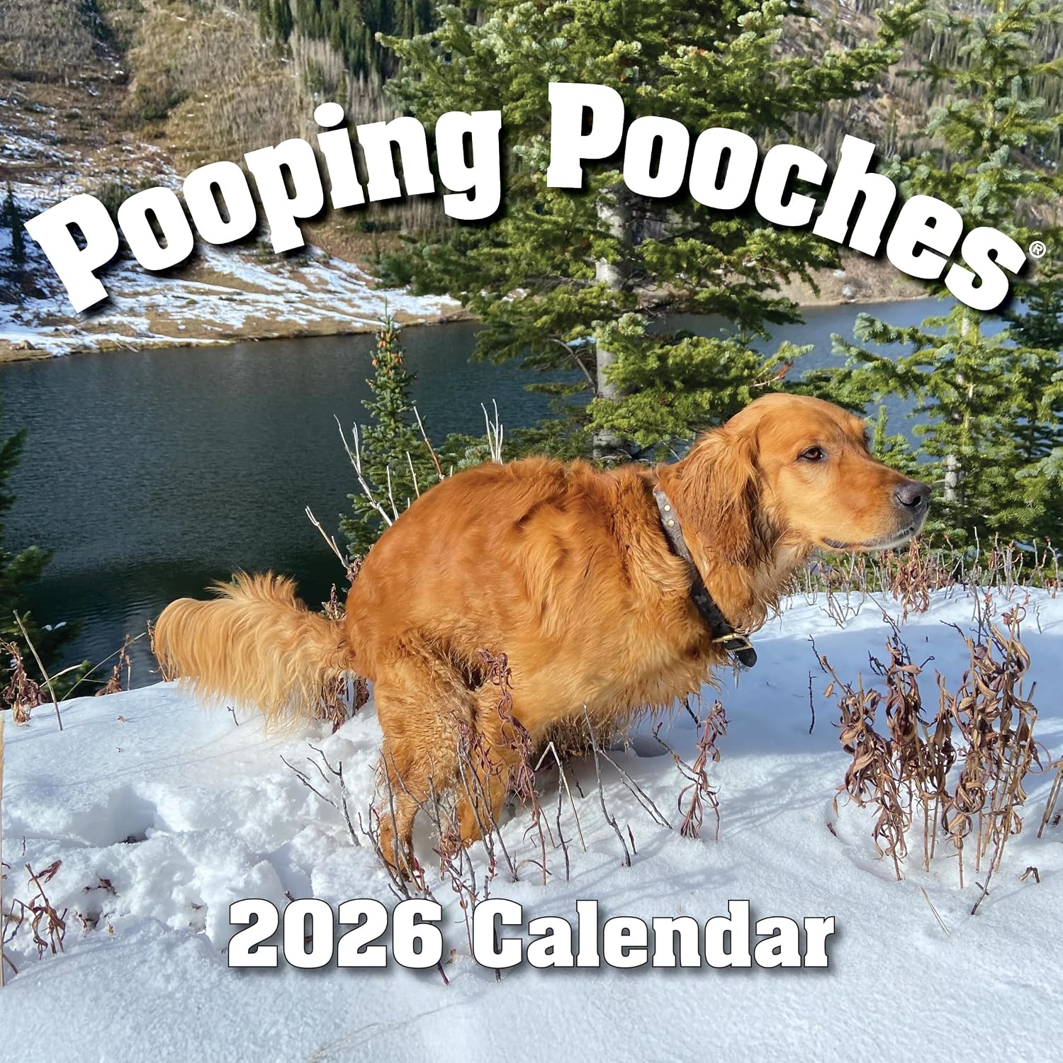 The Pooping Pooches Calendar