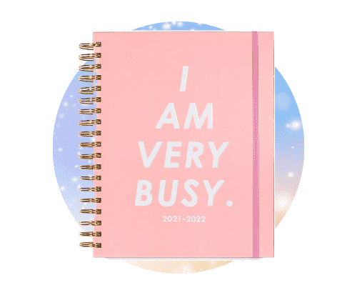 2025 I Am Very Busy Daily Planner