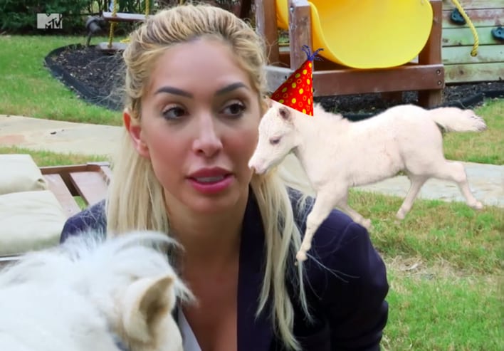 Farrah's Mini Horse Starburst Teen Mom OG