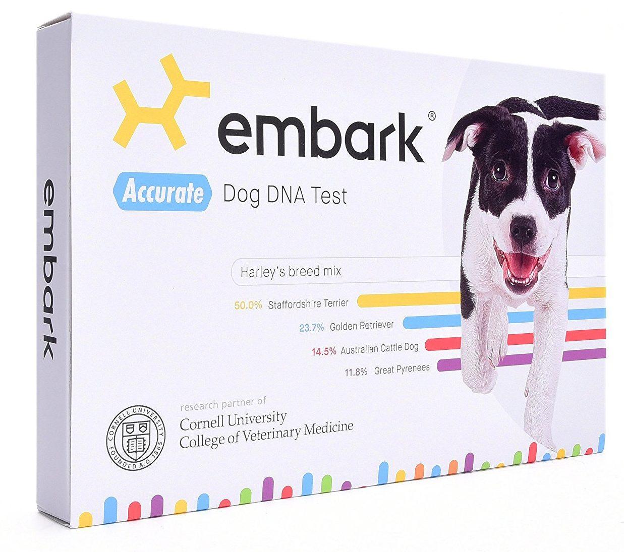Gift Ideas For Husband 2023: Embark Dog DNA Kit 2023