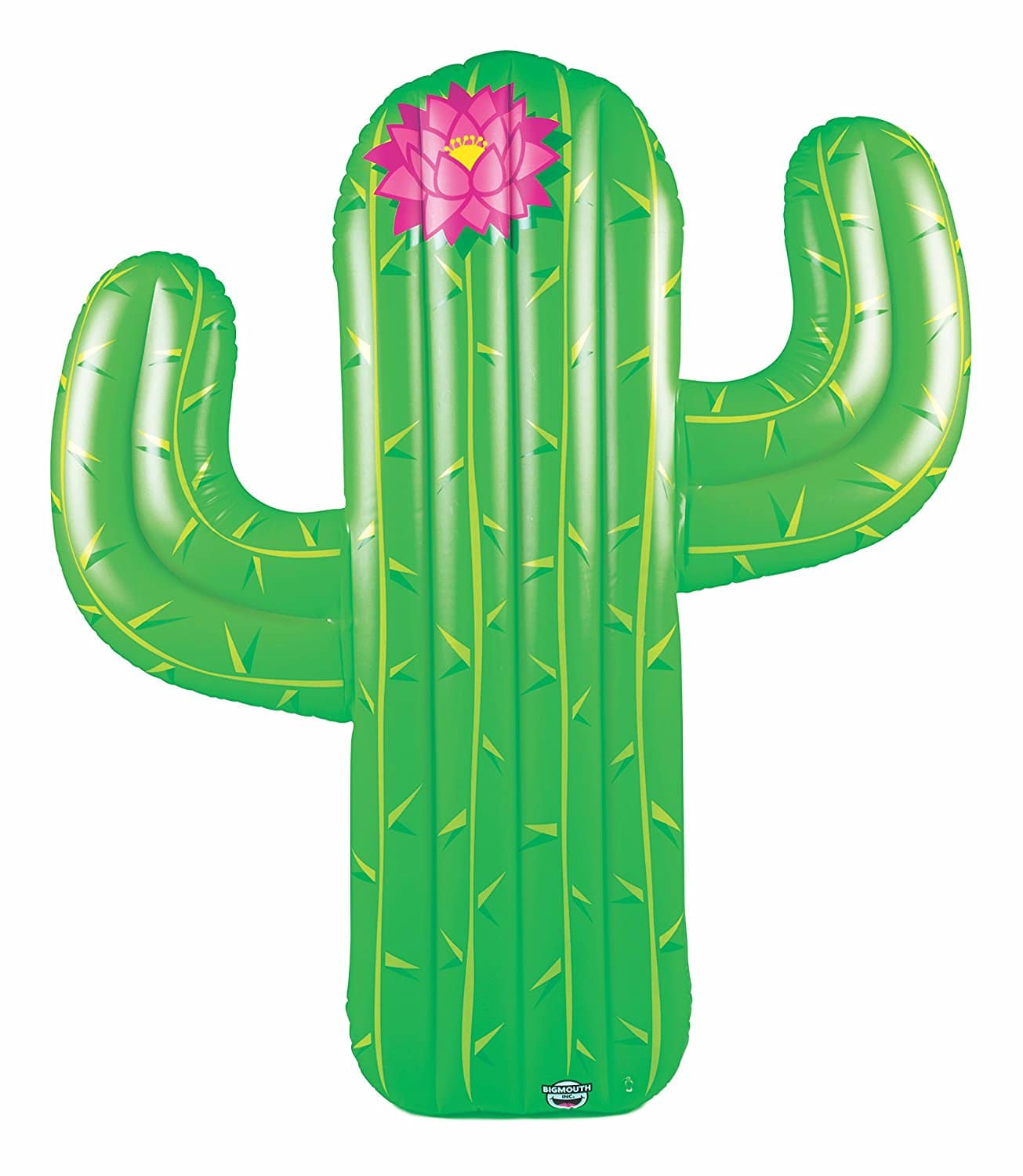 Funny Pool Floats 2018: Green Cactus Raft 