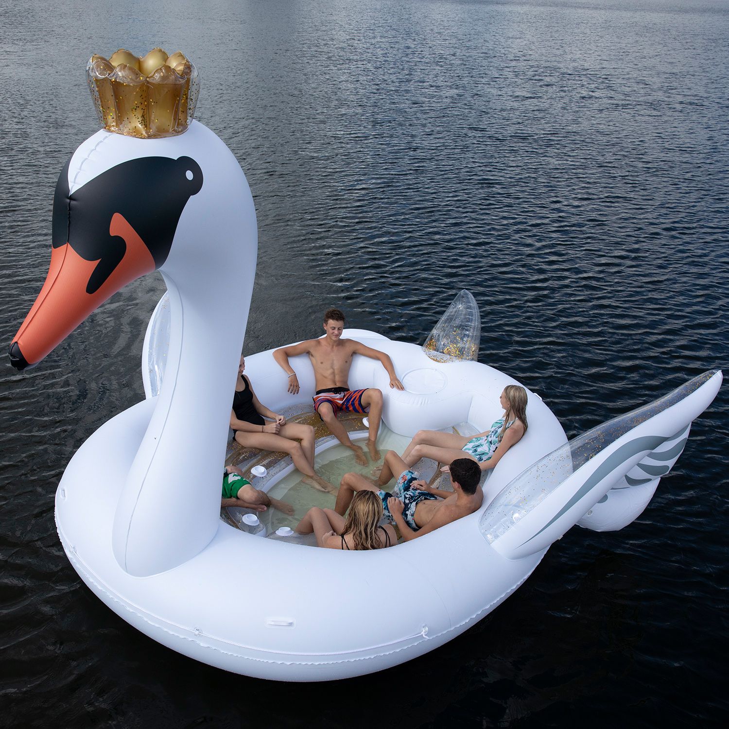 New Swan Party Bird Island Float Raft for 6 2024