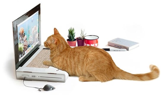 Best Pet Gifts 2018: Cat Scratchpad Laptop