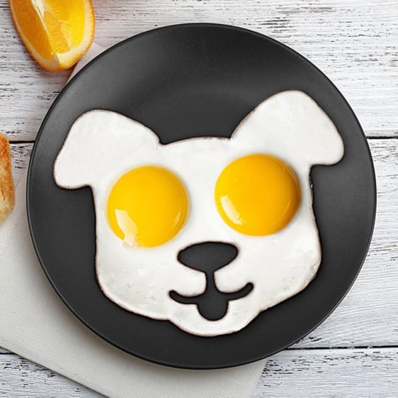 Best Pet Gifts 2018: Dog Egg Mold