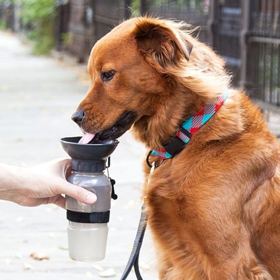Best Pet Gifts 2018: Dog Water Bottle Bowl 2023