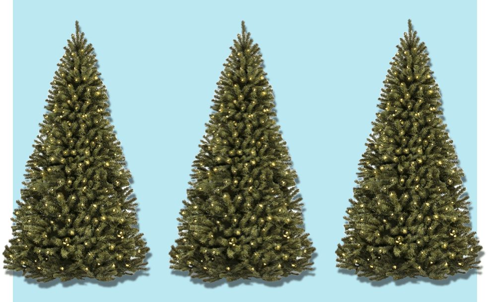 Now You Can Buy a Real Live Christmas Tree From Amazon Because, Amazon