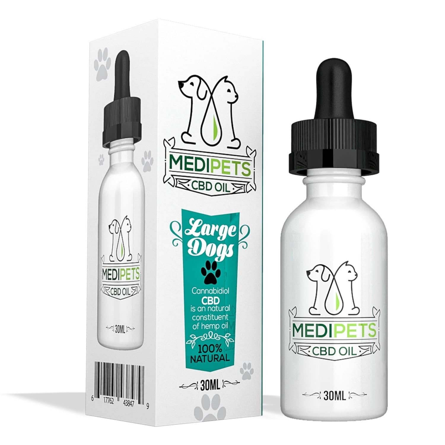 CBD Oil for Dogs 2024: Tincture