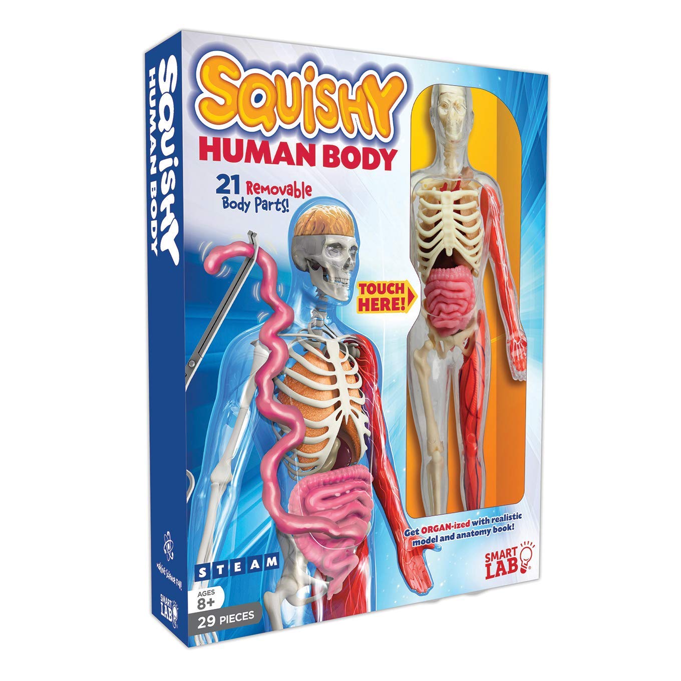 Best STEM Toys 2023: Smartlab Squishy Human Body 2023
