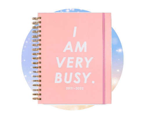 2023 I Am Very Busy Daily Planner