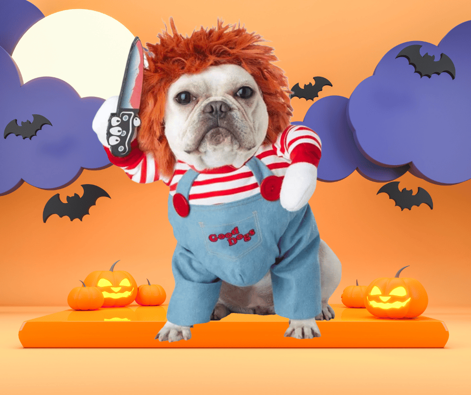 Funny Front Walking Halloween Costume For Dogs and Puppy 2025