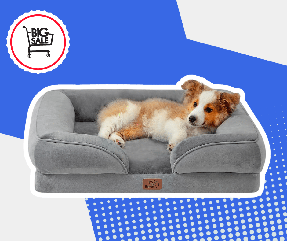 SALE ON DOG BEDS THIS AMAZON PRIME DAY 2024!