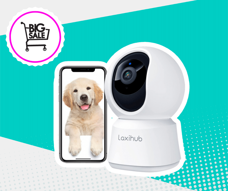 SALE ON DOG & PET CAMERAS THIS AMAZON PRIME DAY 2024!