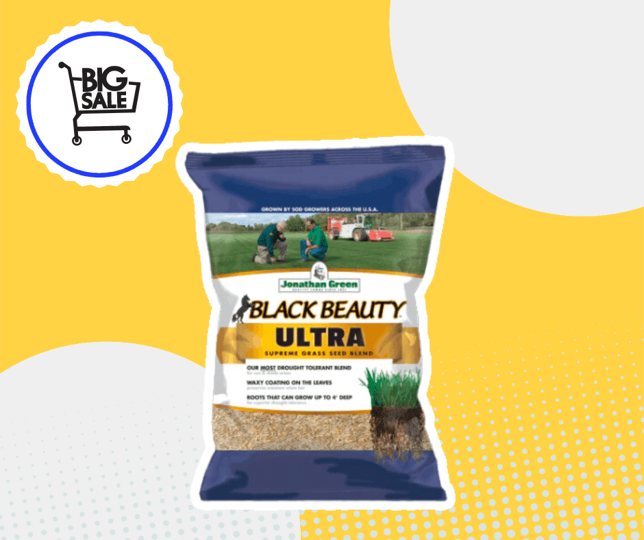 19 Grass Seed Sales This Memorial Day 2024 May Deals on Bags of Seeds