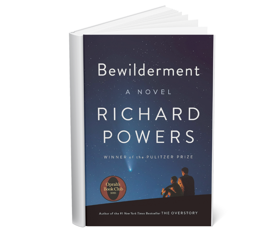 Bewilderment