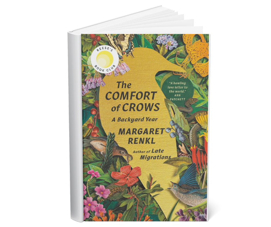 the comfort of crows