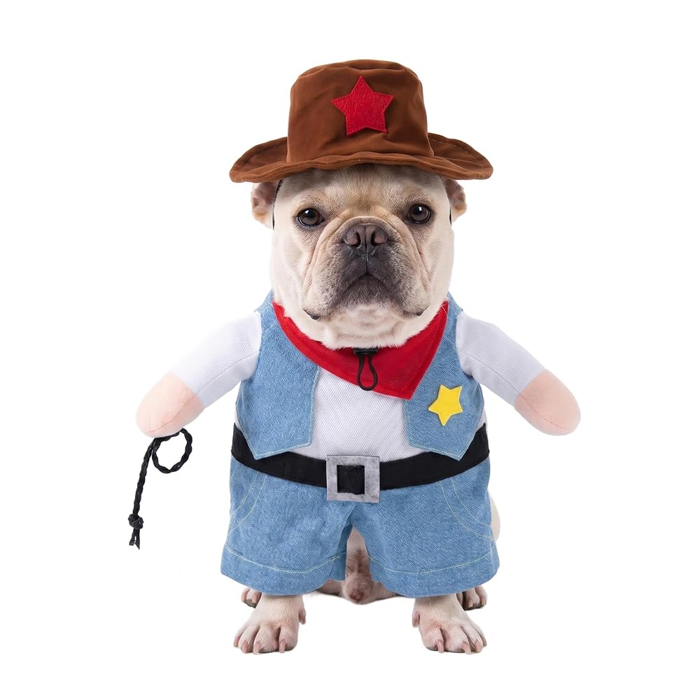 Cowboy Rider Dog Costume