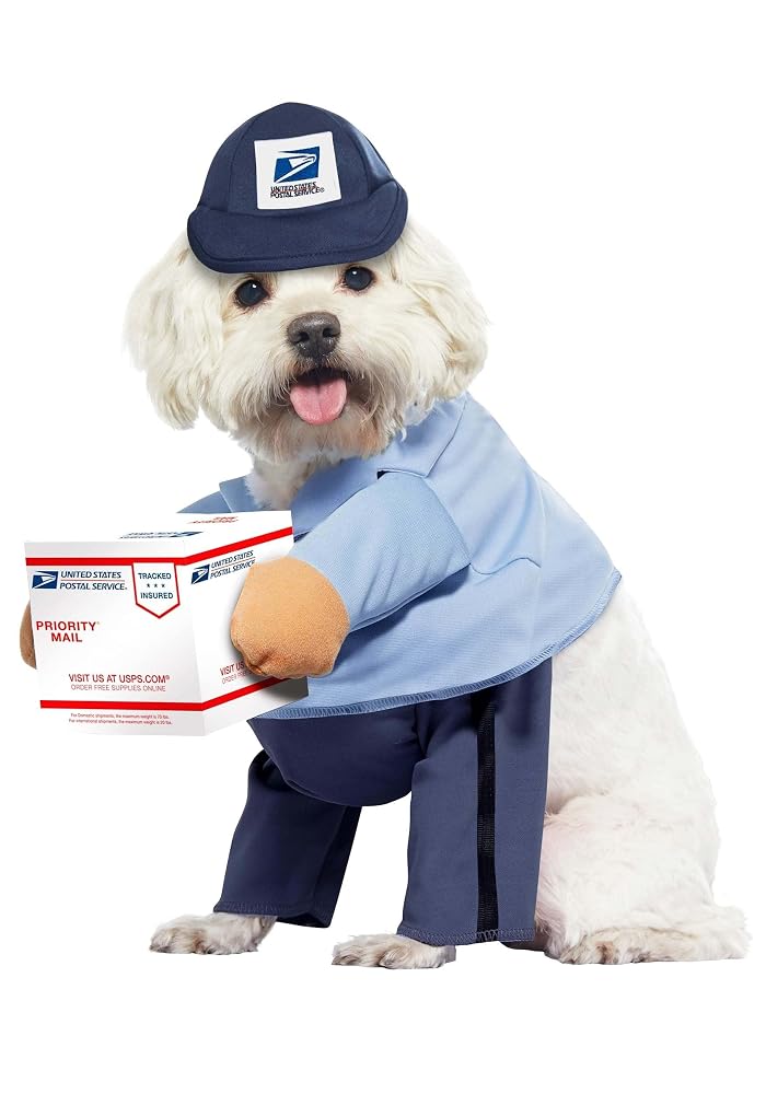 California Costumes Dog Mail Carrier