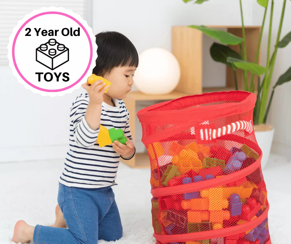 Best Toys For 2 Year Old Boys & Girls 2024