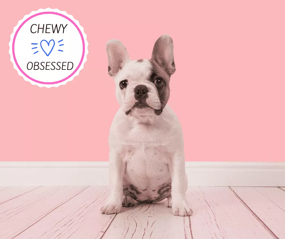 CHEWY PROMO CODES 2024