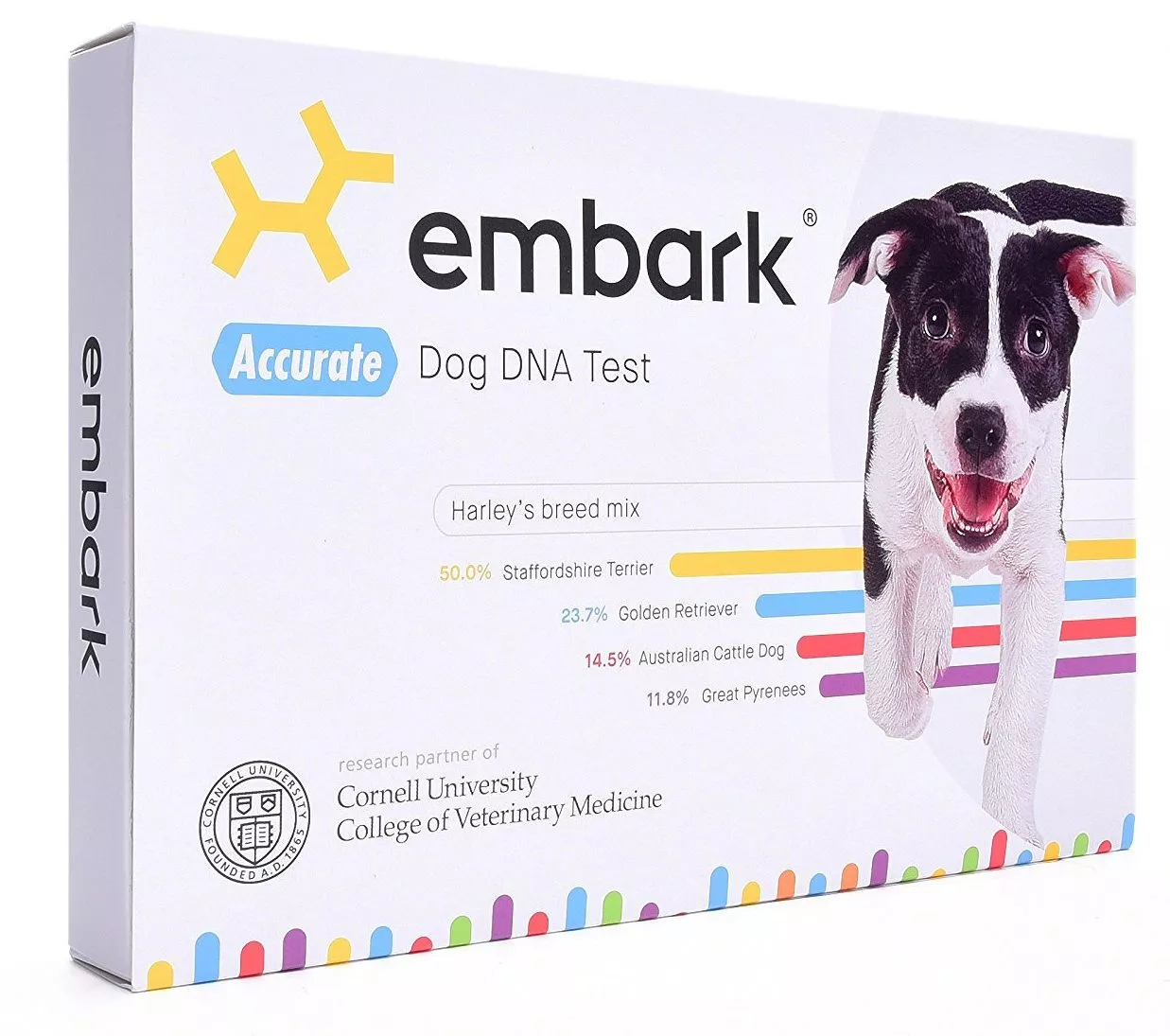 Gift Ideas For Husband 2024: Embark Dog DNA Kit 2024