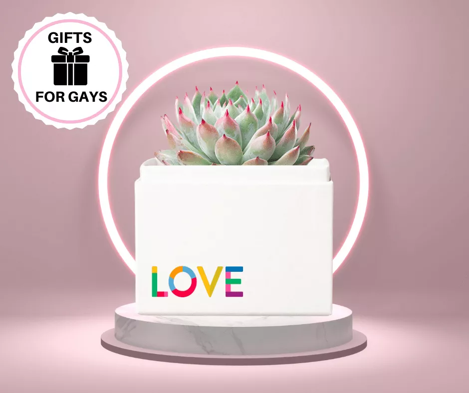 Best Gifts For Same Sex Gay Couples 2024
