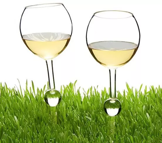 Best Gifts for Wine Lovers 2018: Outdoor Wine Glasses for Grass 2024