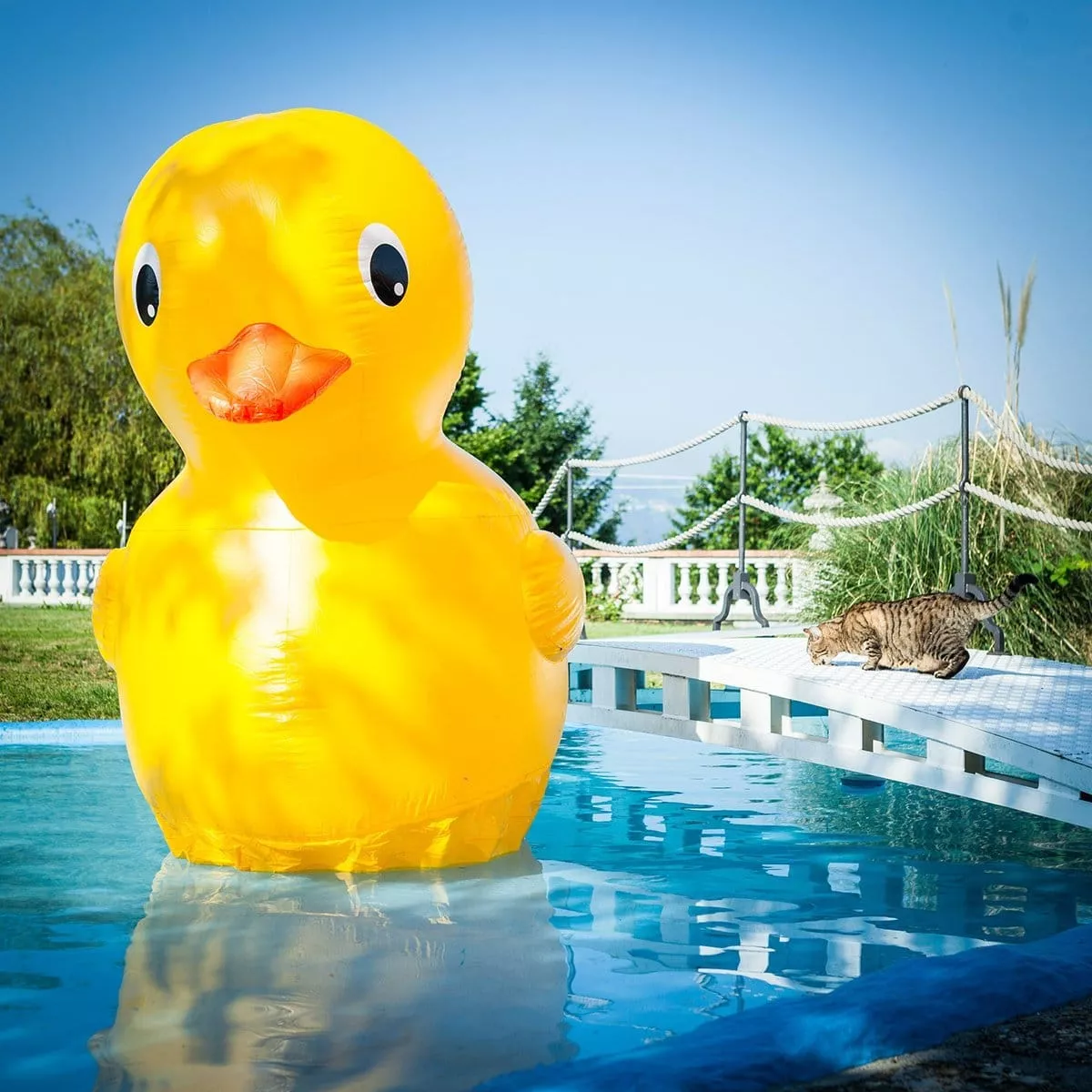 Funny Pool Floats 2018: Gigantic Yellow Duck