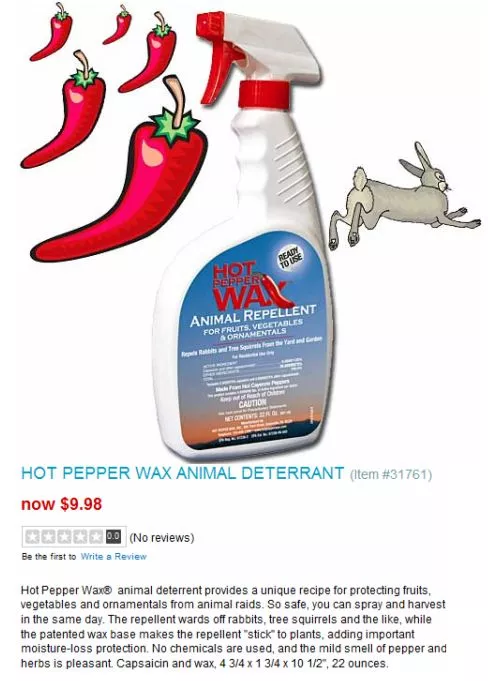 harriet-carter-hot-pepper-wax