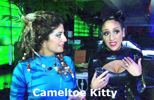 rhonk-cameltoe-cat