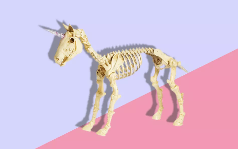 Where to Buy Unicorn Skeleton for Halloween Decoration 2024 - Pre Order, Stock Status, Price for Cheap Online 2024