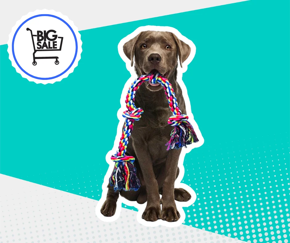 SALE ON BEST DOG TOYS THIS AMAZON PRIME DAY 2023!