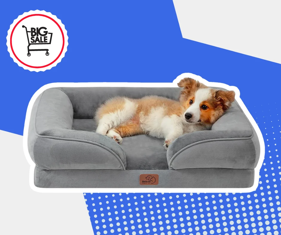 SALE ON DOG BEDS THIS AMAZON PRIME DAY 2023!