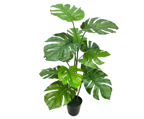 FAKE PHILODENDRUN PLANT