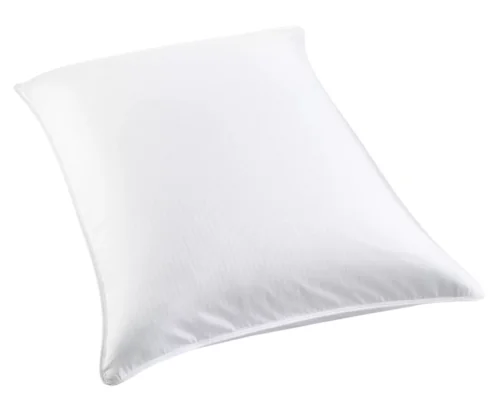 CHARTER CLUB PILLOW