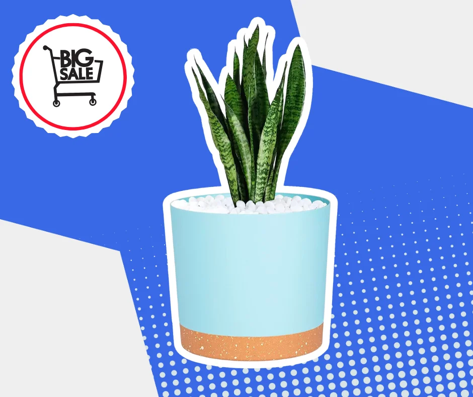 SALE ON PLANTERS INDOOR AND OUTDOOR THIS AMAZON PRIME DAY 2023!
