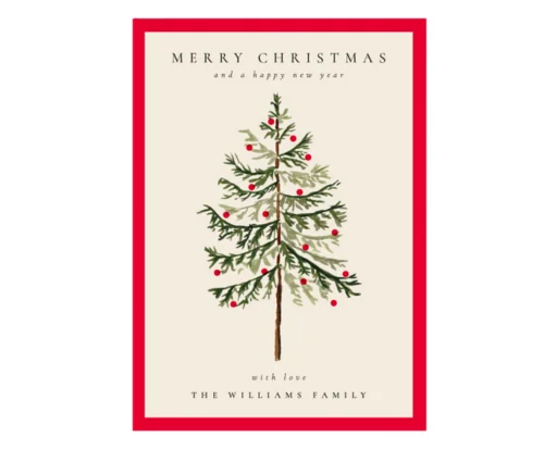 Minted Christmas Card Sale